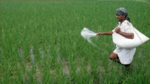 चुनाव से पहले किसानों पर मेहरबान मोदी सरकार, खाद पर देगी…- भारत संपर्क