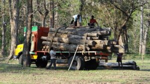 कोयले की जगह कर रहे लकड़ी का इस्तेमाल, उद्योगपतियों पर उठ रहे सवाल…हो रही… – भारत संपर्क