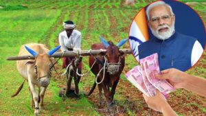 केवल पीएम किसान ही नहीं इन योजनाओं से भी किसानों को मिलता है…- भारत संपर्क