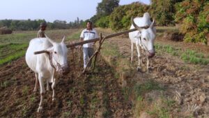 किसानों के मुद्दे पर भारत की थाईलैंड से ठनी, WTO की बैठक बनी…- भारत संपर्क