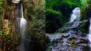 Waterfalls Of Bihar: बिहार में मौजूद ये झरने घूमने के लिए हैं बेस्ट, जानें यहां…