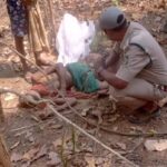 Raigarh News: तेंदूपत्ता तोड़ने गए ग्रामीण की हाथी के हमले में…- भारत संपर्क