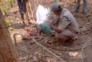 Raigarh News: तेंदूपत्ता तोड़ने गए ग्रामीण की हाथी के हमले में…- भारत संपर्क