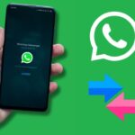 WhatsApp पर फाइल शेयर करने के लिए नहीं होगी इंटरनेट की जरूरत, आ रहा है ये नया… – भारत संपर्क