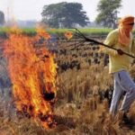 पराली जलाने वाले किसानों के लिए बुरी खबर, अब नहीं मिलेगी MSP…- भारत संपर्क
