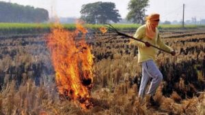 पराली जलाने वाले किसानों के लिए बुरी खबर, अब नहीं मिलेगी MSP…- भारत संपर्क