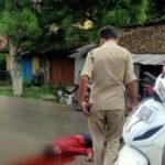 Raigarh News: पिकअप और स्कूटी में जोरदार टक्कर…स्कूटी चालक की…- भारत संपर्क