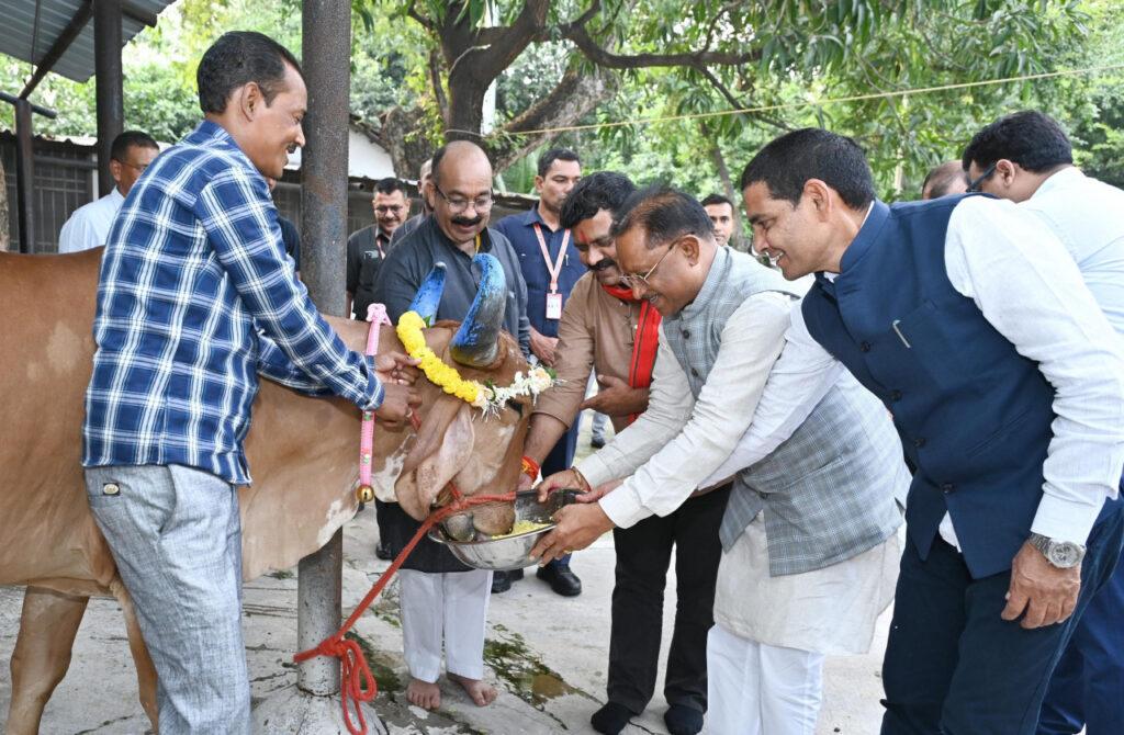 मुख्यमंत्री विष्णु देव साय ने गोवर्धन पूजा के अवसर पर की गौ वंश की पूजा-अर्चना – भारत संपर्क न्यूज़ …