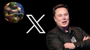 New Year 2025 से पहले Elon Musk ने X पर बदला नाम, प्रोफाइल पिक्चर पर लगाया… – भारत संपर्क