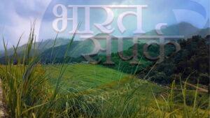 सर्दियों में देखने लायक हैं केरल की ये 5 जगहें, मनमोहक नजारे देखकर हो जाएंगे खुश