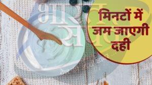 अब झटपट जम जाएगी दही, 600 रुपये में मिल रहा इलेक्ट्रिक कर्ड मेकर – भारत संपर्क