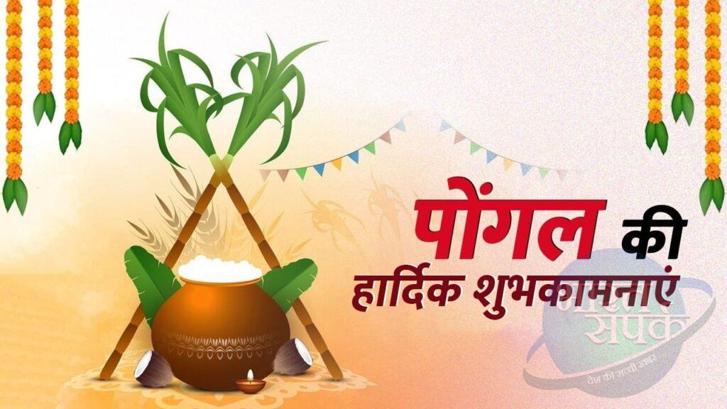 Happy Pongal 2025 Wishes : पोंगल के शुभ अवसर पर अपनों को भेजें ये शुभकामनाएं…