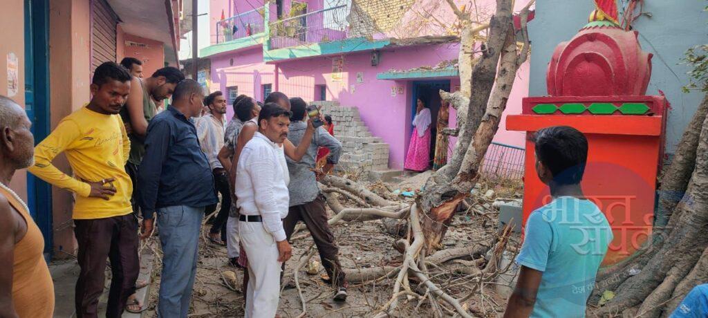 विशालकाय पेड़ गिरने से घर को भारी नुकसान, जिला पंचायत सदस्य…- भारत संपर्क