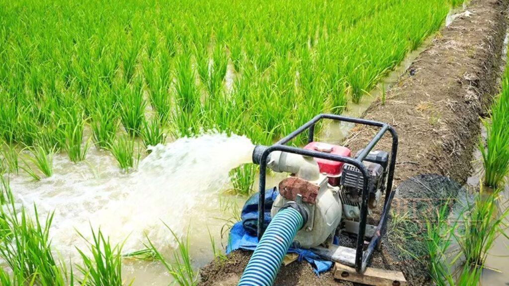 बिहार: किसानों को बिजली देने के लिए पंचायतों में लगेंगे विशेष कैम्प, ऊर्जा… बिहार: किसानों को बिजली देने के लिए पंचायतों में लगेंगे विशेष कैम्प, ऊर्जा…