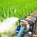 बिहार: किसानों को बिजली देने के लिए पंचायतों में लगेंगे विशेष कैम्प, ऊर्जा…