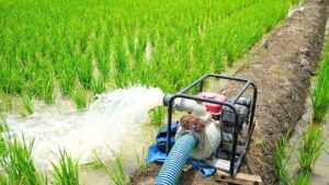 बिहार: किसानों को बिजली देने के लिए पंचायतों में लगेंगे विशेष कैम्प, ऊर्जा…