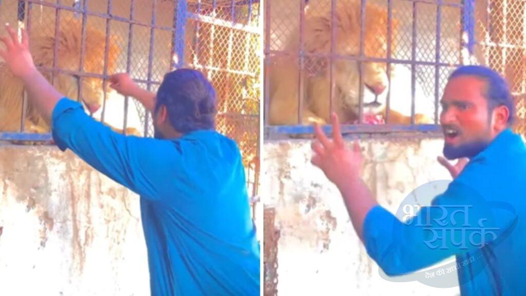 Viral Video: पिंजरे में बंद शेर को यूं चिढ़ा रहा था शख्स, आगे का सीन देख कांप गए लोग Viral Video: पिंजरे में बंद शेर को यूं चिढ़ा रहा था शख्स, आगे का सीन देख कांप गए लोग