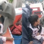 Viral: बच्चे से रोटी छीनकर लंगूर ने उड़ाई दावत, बिलखता रहा मासूम और पापा बनाते रहे…
