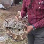 21 अंडों के साथ मिला विशाल अजगर,किया गया रेस्क्यू, एनिमल रेस्क्यू टीम ने अजगर को नदी… – भारत संपर्क न्यूज़ …