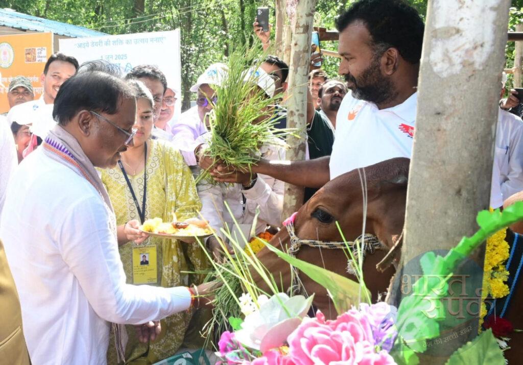 मुख्यमंत्री ने दुधारू पशु प्रदाय योजना का किया शुभारंभ – भारत संपर्क न्यूज़ … मुख्यमंत्री ने दुधारू पशु प्रदाय योजना का किया शुभारंभ – भारत संपर्क न्यूज़ …
