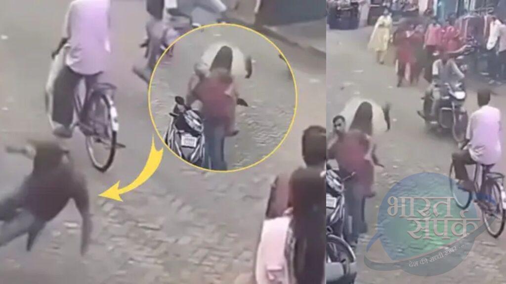 Viral Video: सांड के सरप्राइज से हिल गया बंदा, बीच बाजार दिया ऐसा झटका, दिन में दिख… Viral Video: सांड के सरप्राइज से हिल गया बंदा, बीच बाजार दिया ऐसा झटका, दिन में दिख…