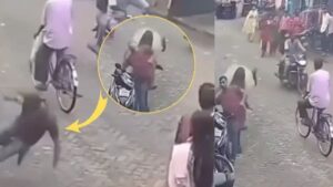 Viral Video: सांड के सरप्राइज से हिल गया बंदा, बीच बाजार दिया ऐसा झटका, दिन में दिख…