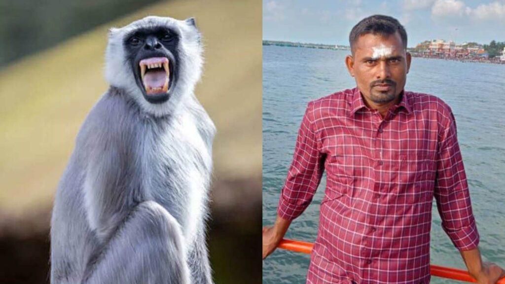 गाड़ी की टक्कर में बच्चे की मौत, लंगूर ने बदला लेने की ठानी, 20 लोगों पर… गाड़ी की टक्कर में बच्चे की मौत, लंगूर ने बदला लेने की ठानी, 20 लोगों पर…