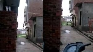 Viral Video: पति के आते ही गर्लफ्रेंड की बालकनी से कूद गया बॉयफ्रेंड, पड़ोसी ने कैमरे…