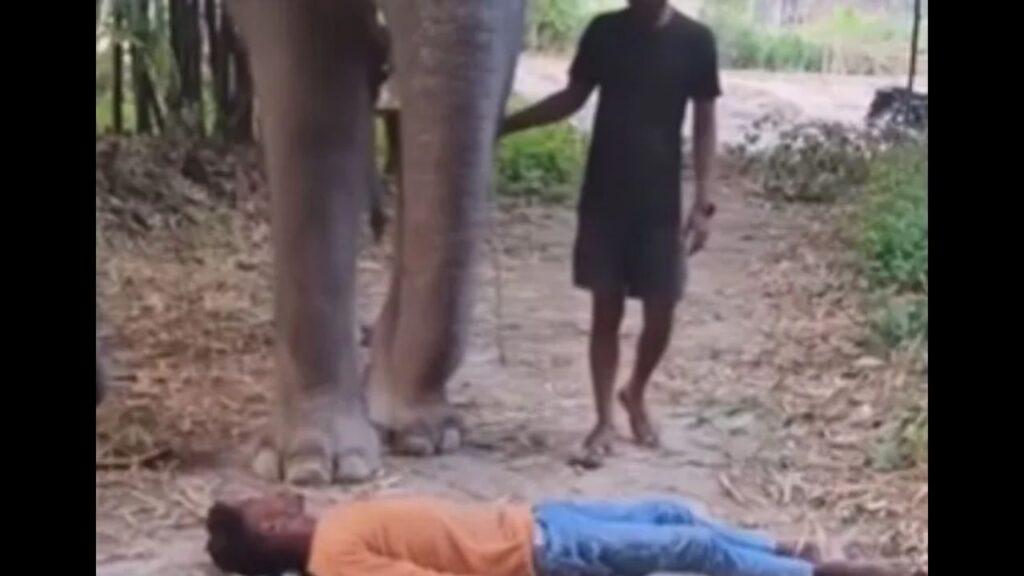 Viral: हाथी के रास्ते में लेट गए लड़के फिर किया ये खतरनाक काम, वीडियो देख भौचक्के रह… Viral: हाथी के रास्ते में लेट गए लड़के फिर किया ये खतरनाक काम, वीडियो देख भौचक्के रह…