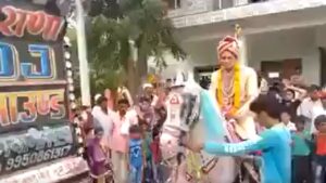 Viral Video: दुल्हन के पास पहुंचने से पहले दूल्हे को लेकर उड़न छू हुई घोड़ी, बस कारण…