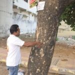 बिलासपुर में पेड़ों को कील मुक्त करने हेतु जागरूकता अभियान –…- भारत संपर्क
