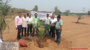 जिले में पाम ऑयल की खेती को बढ़ावा देने विशेष पौधरोपण अभियान…- भारत संपर्क जिले में पाम ऑयल की खेती को बढ़ावा देने विशेष पौधरोपण अभियान…- भारत संपर्क