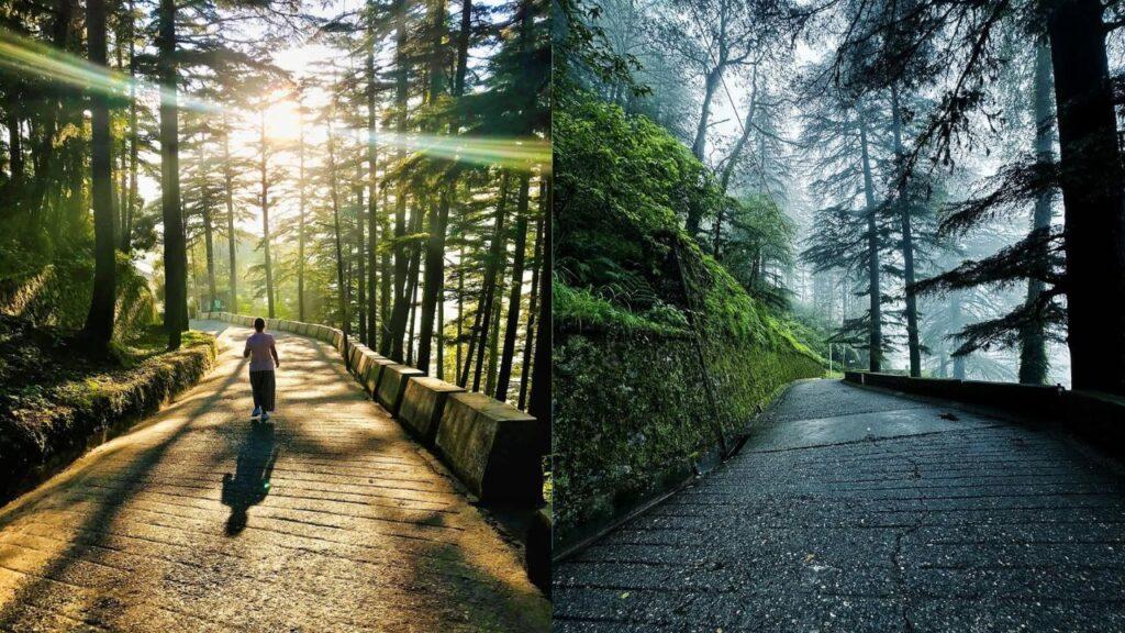 मसूरी से सिर्फ 6 किलोमीटर दूर है ये स्वर्ग सी सुंदर जगह, इस गर्मी घूम आयें मसूरी से सिर्फ 6 किलोमीटर दूर है ये स्वर्ग सी सुंदर जगह, इस गर्मी घूम आयें