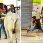 Viral Video: सांड ने युवक पर अचानक किया भयानक हमला, बंदा ऐसे उठा जैसे कुछ हुआ ही नहीं