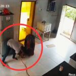 रूह कंपा देगा ये Video: मौत के सामने खड़े थे, फिर भी बच गए! ‘फाइनल डेस्टिनेशन’ से भी…