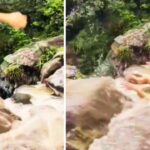 Viral Video: झरने के पास खड़ी थी लड़की, आगे का सीन देख दहल गए लोग