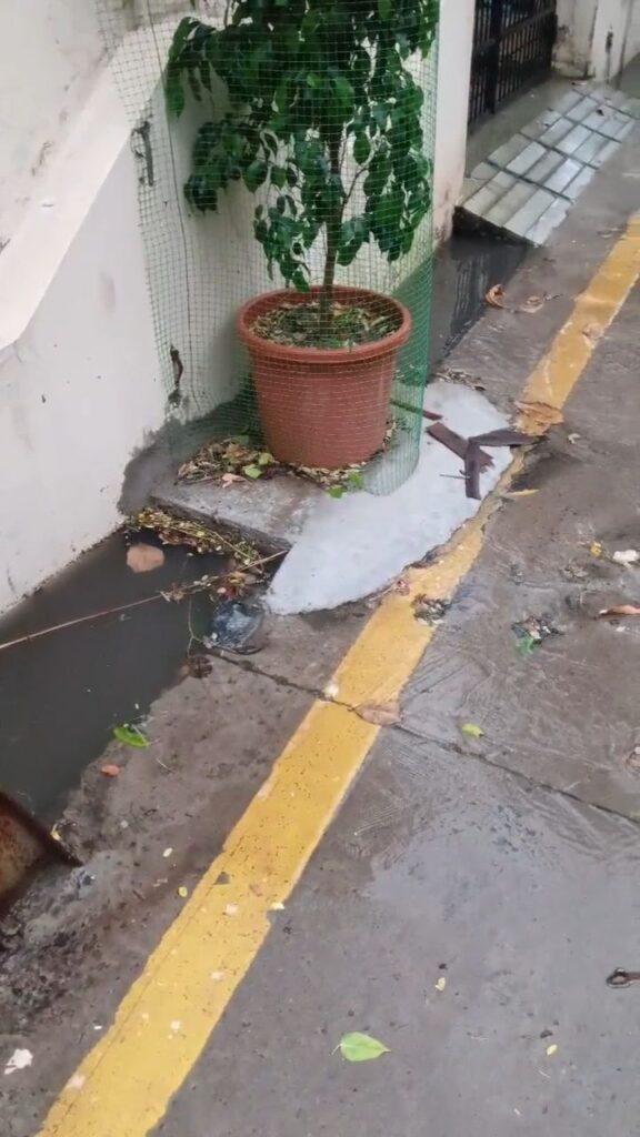 निगम की सफाई व्यवस्था की खुली पोल, पहली बारिश में ही पानी…- भारत संपर्क निगम की सफाई व्यवस्था की खुली पोल, पहली बारिश में ही पानी…- भारत संपर्क