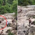 Viral Video: झरने के पास मजे ले रहे थे लोग, अचानक प्रकृति ने दिखाया अपना रौद्र रूप, 5…