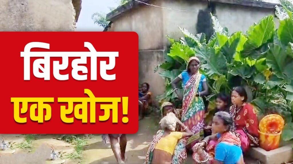 सूर्य के वंशज, जंगल मानव… विलुप्त होने के कगार पर बिरहोर समाज, बिहार में… सूर्य के वंशज, जंगल मानव… विलुप्त होने के कगार पर बिरहोर समाज, बिहार में…