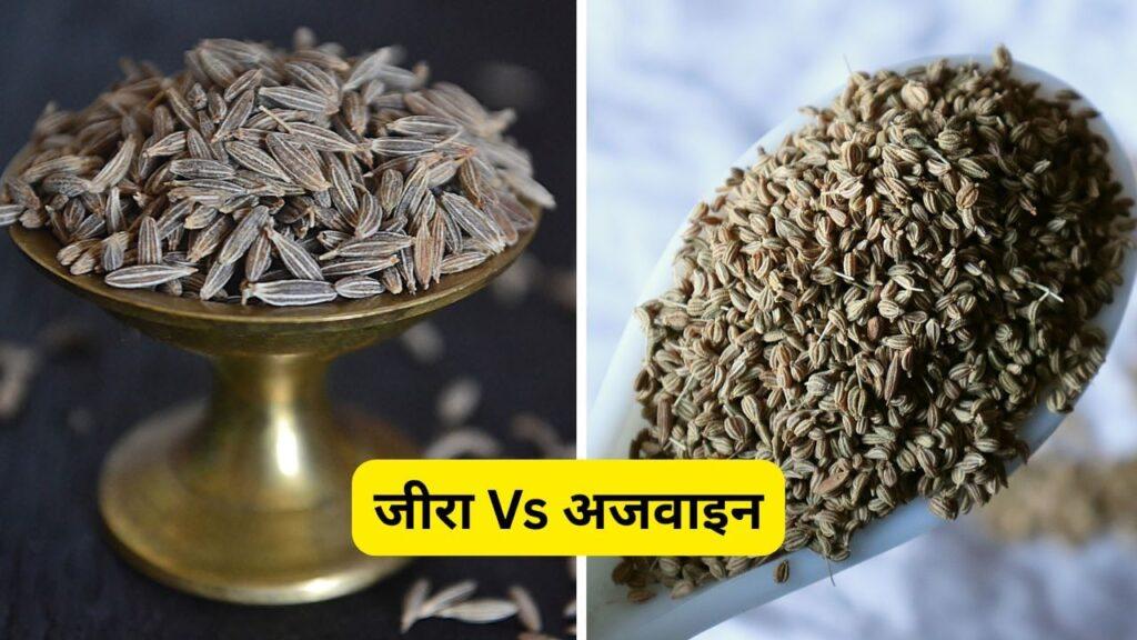 जीरा Vs अजवाइन: दिखते हैं एक जैसे, पर पोषक तत्वों में बड़ा फर्क? कौन है ज्यादा…