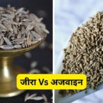 जीरा Vs अजवाइन: दिखते हैं एक जैसे, पर पोषक तत्वों में बड़ा फर्क? कौन है ज्यादा…
