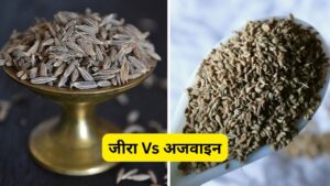 जीरा Vs अजवाइन: दिखते हैं एक जैसे, पर पोषक तत्वों में बड़ा फर्क? कौन है ज्यादा…