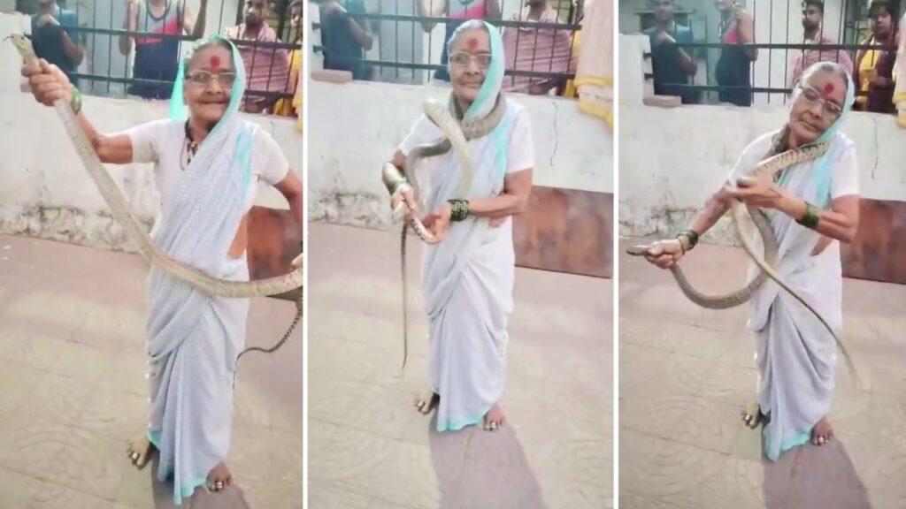 Viral Video: ‘डेरिंग दादी’ का कारनामा तो देखिए; 8 फीट लंबे सांप को यूं दबोचा, फिर गले…