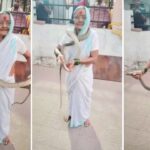 Viral Video: ‘डेरिंग दादी’ का कारनामा तो देखिए; 8 फीट लंबे सांप को यूं दबोचा, फिर गले…