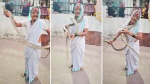 Viral Video: ‘डेरिंग दादी’ का कारनामा तो देखिए; 8 फीट लंबे सांप को यूं दबोचा, फिर गले…