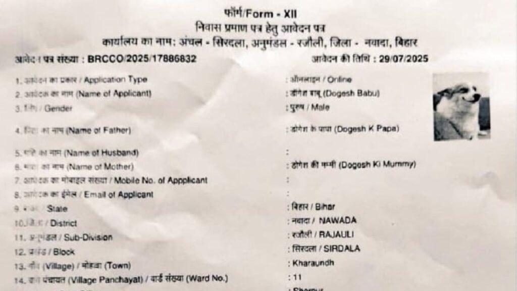 डॉग बाबू के बाद अब डॉगेश बाबू… बिहार में निवास प्रमाण पत्र के लिए आया… डॉग बाबू के बाद अब डॉगेश बाबू… बिहार में निवास प्रमाण पत्र के लिए आया…