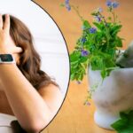वो 5 हरे पत्ते जिन्हें सूंघने भर से सिरदर्द हो जाता है कम, घर में लगा लें इनके…