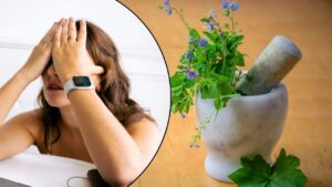 वो 5 हरे पत्ते जिन्हें सूंघने भर से सिरदर्द हो जाता है कम, घर में लगा लें इनके…