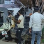 ज्वेलर ने बंदर को मार दी गोली… मौत के बाद बंदरों ने मनाया मातम! वन विभाग … – भारत संपर्क