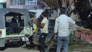 ज्वेलर ने बंदर को मार दी गोली… मौत के बाद बंदरों ने मनाया मातम! वन विभाग … – भारत संपर्क